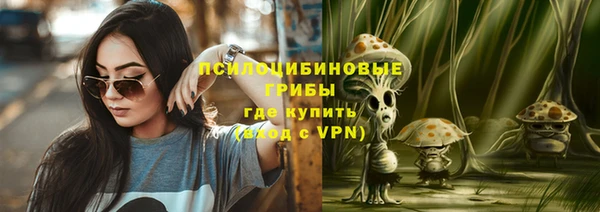 spice Алексин